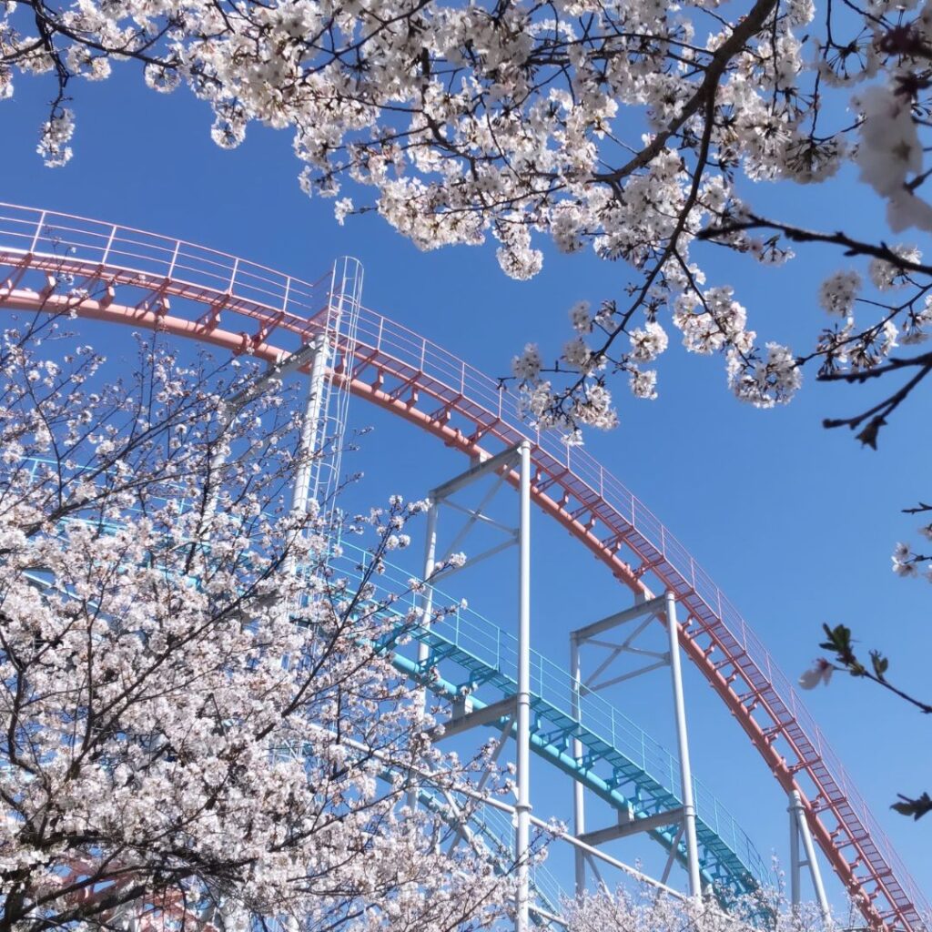 縦長や横長の写真を、真四角に切り取って投稿できる