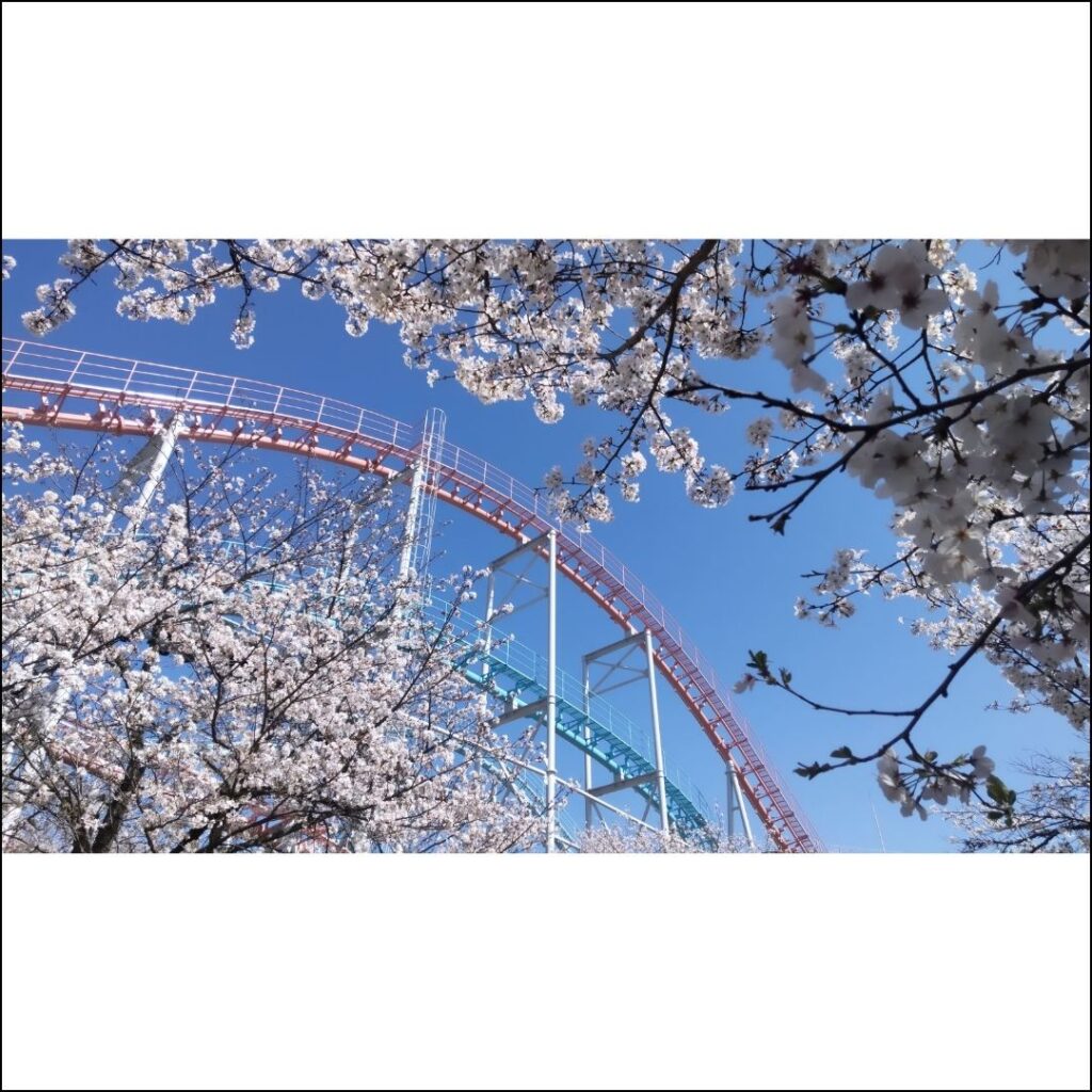 縦長や横長の写真は、そのままの形で投稿できる