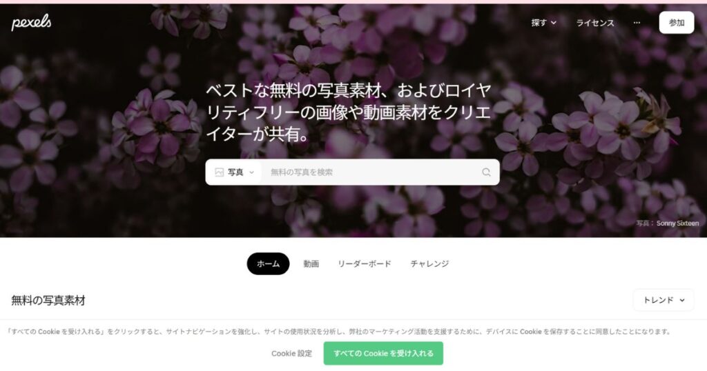 Canvaデザイン!おすすめフリー素材サイト|Pexels(ペクセルズ)